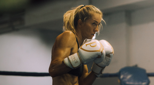 boxking about img 2.jpg